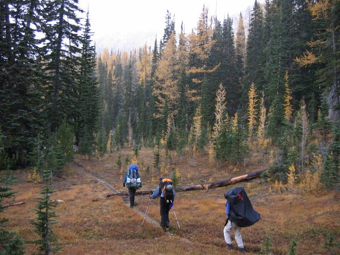 In the upper valley, the trail began to open out into more meadows and views.
Some larches were almost bare, but others still carried enough needles.